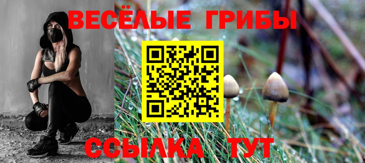 Галлюциногенные грибы Psilocybine cubensis  где купить   Великие Луки  Вход с VPN 
